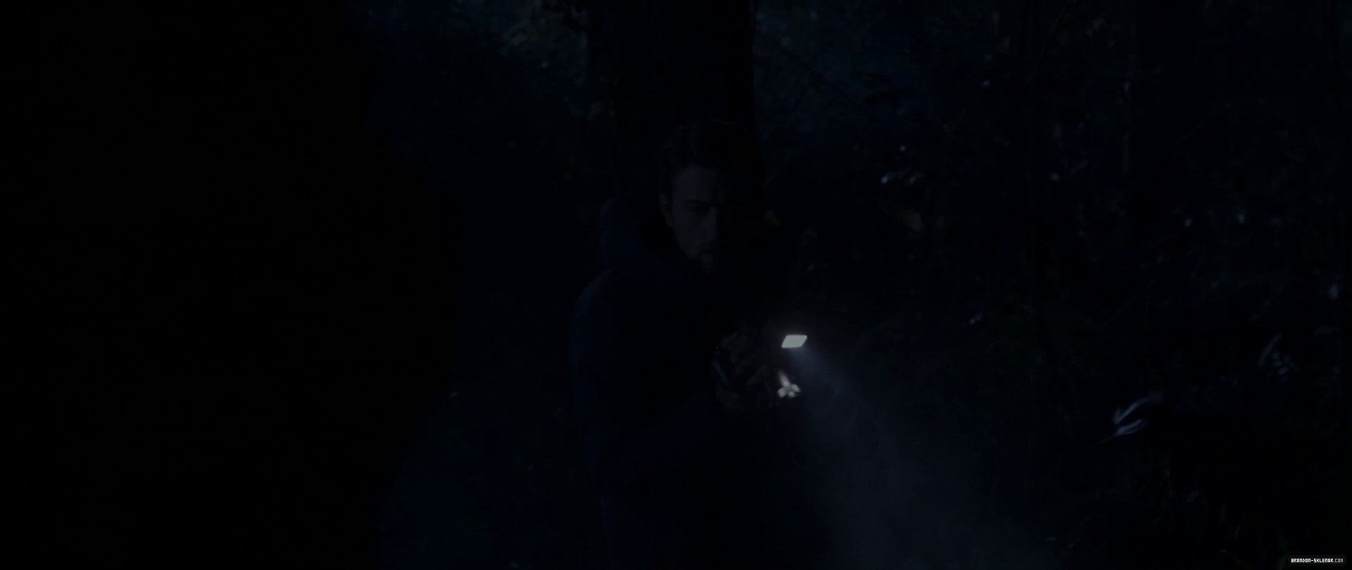 1551.jpg