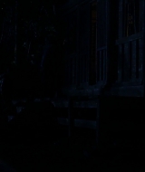 1363.jpg