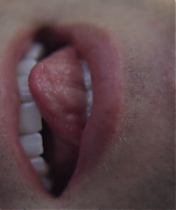 05.jpg
