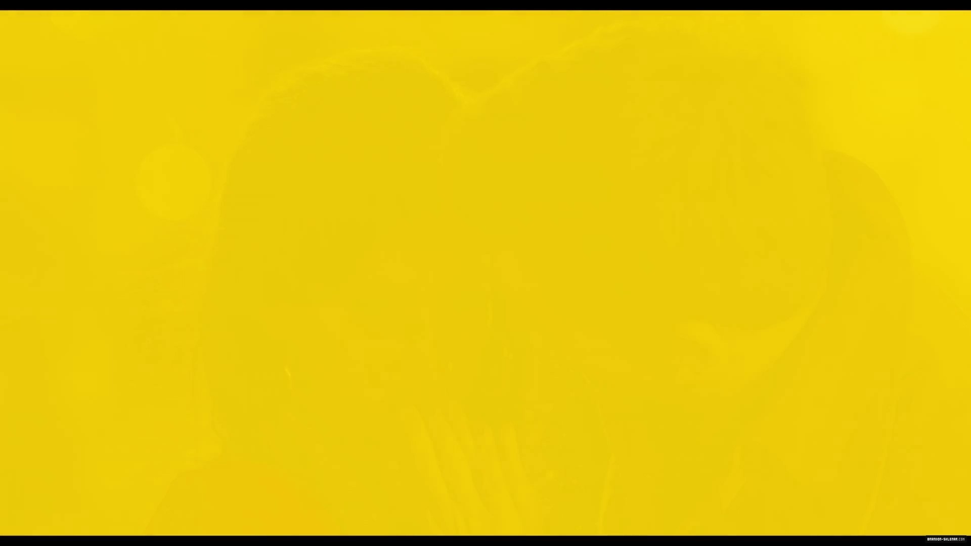 1198.jpg