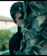 2537.jpg