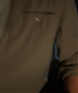Filename=2565.jpg
Filesize=605KiB
Dimensions=1920x804
Date added=Jan 06, 2026 2565.jpg