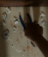 4677.jpg