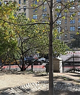 193.jpg