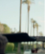 110.jpg