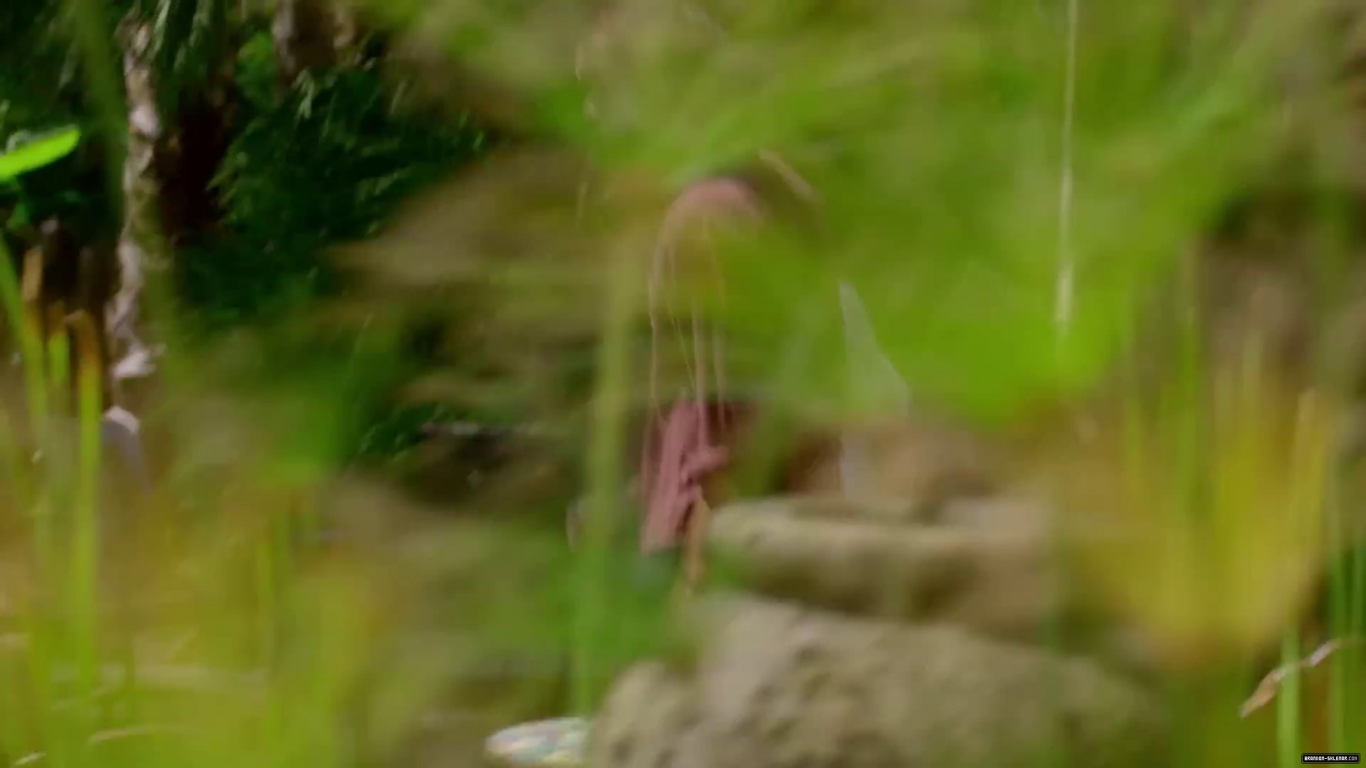 160.jpg
