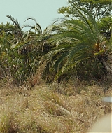 0069.jpg
