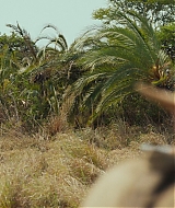 0073.jpg