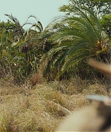 0074.jpg