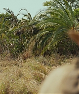0078.jpg