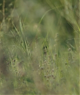 Filename=764.jpg
Filesize=951KiB
Dimensions=2048x1024
Date added=Jan 08, 2026 764.jpg