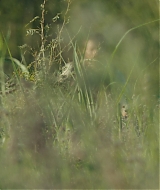 Filename=766.jpg
Filesize=944KiB
Dimensions=2048x1024
Date added=Jan 08, 2026 766.jpg