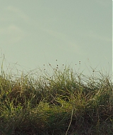 828.jpg