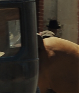 385.jpg